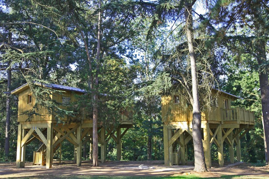 Albirondack Camping Lodge & Spa Oda fotoğraf