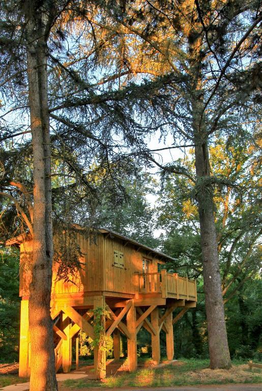 Albirondack Camping Lodge & Spa Oda fotoğraf
