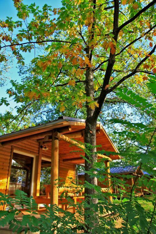 Albirondack Camping Lodge & Spa Oda fotoğraf